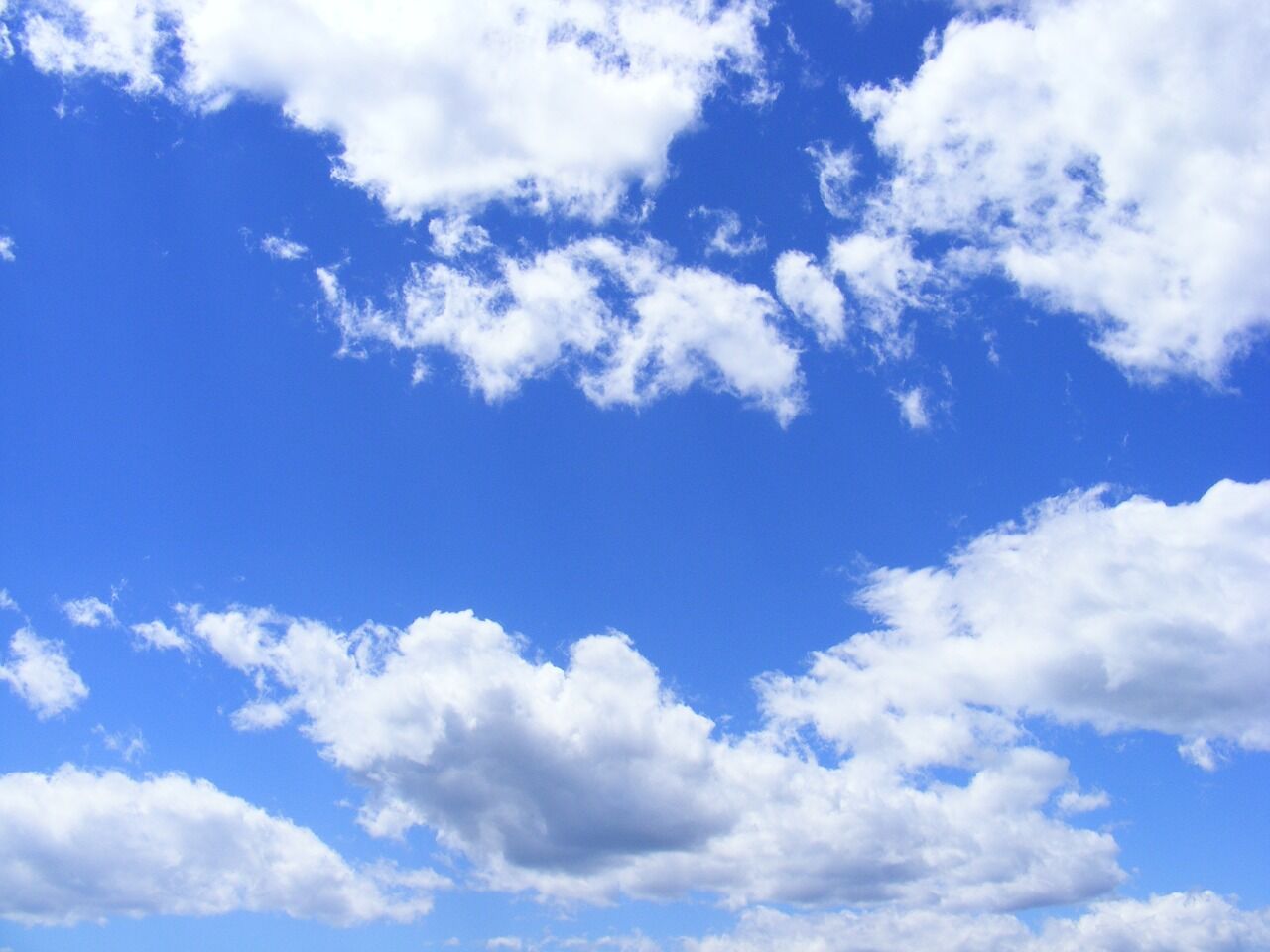 ホームページを公開しました。