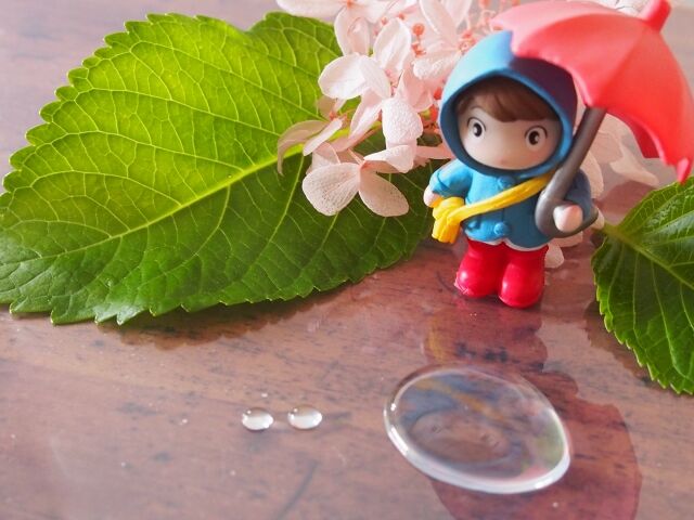 ホームページを公開しました。