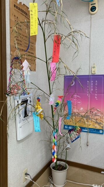 ホームページを公開しました。
